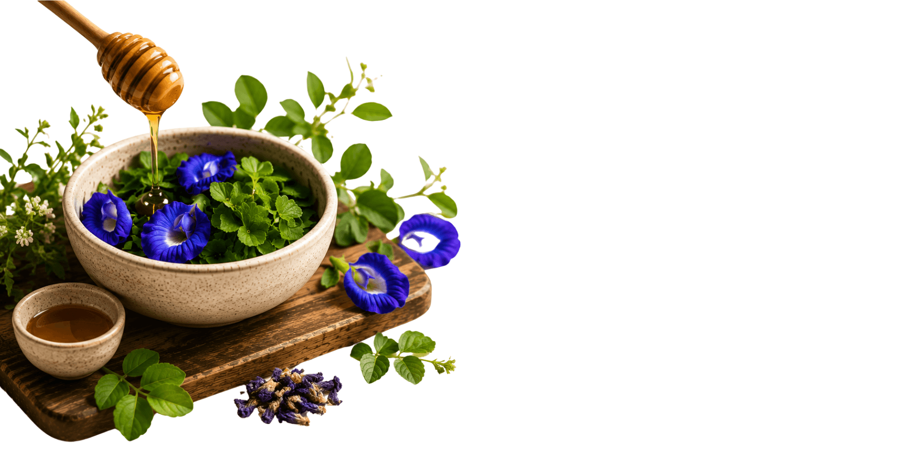 BUTTERFLY PEA FOR COGNITIVE CALM & SHARPNESS