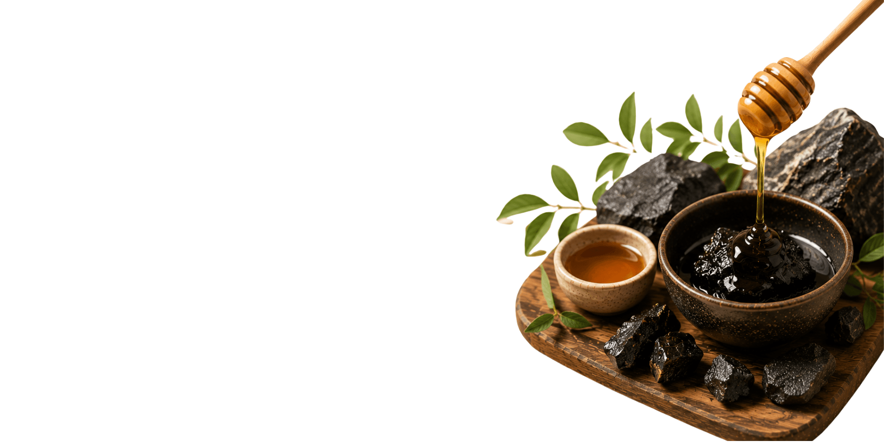 PEAK VIGOR & ENERGY WITH HIMALAYAN SHILAJIT